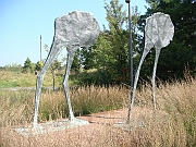 Western Michigan [2009] 296